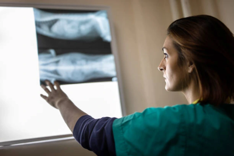 Raio x de cachorro valor